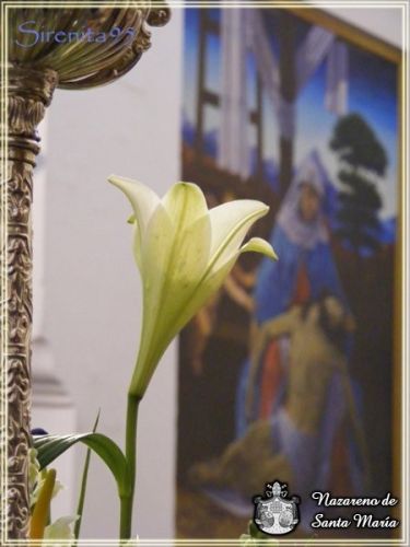 dscf6319