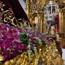 nazareno salida8dic previa 017